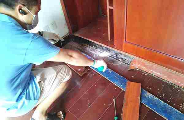 白蚁防治